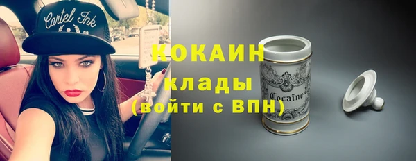 ГАЛЛЮЦИНОГЕННЫЕ ГРИБЫ Вязники