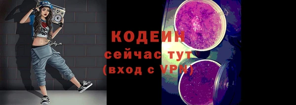 mdpv Вяземский