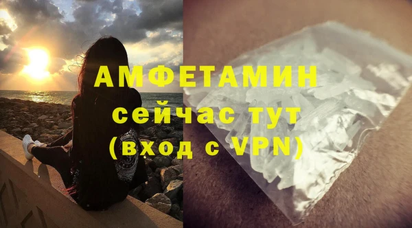 ГАЛЛЮЦИНОГЕННЫЕ ГРИБЫ Вязники