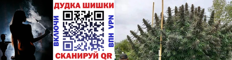 Бошки Шишки ГИДРОПОН Салават